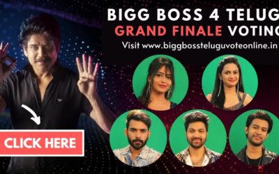 bigg boss 4 telugu finale voting