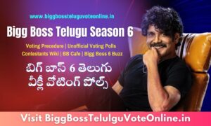 Bigg Boss 9 Telugu Vote Online - Voting Results Live