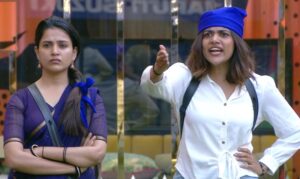 Bigg Boss 09 Telugu Episode 23 Highlights