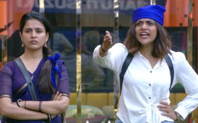 Bigg Boss 09 Telugu Episode 23 Highlights