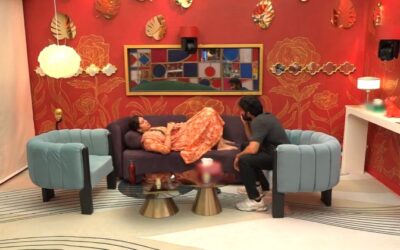 Bigg Boss 9 Telugu Episode 29 Highlights