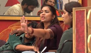 Bigg Boss 9 Telugu Episode 39 Highlights