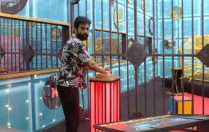 Bigg Boss 9 Telugu Episode 53 Highlights